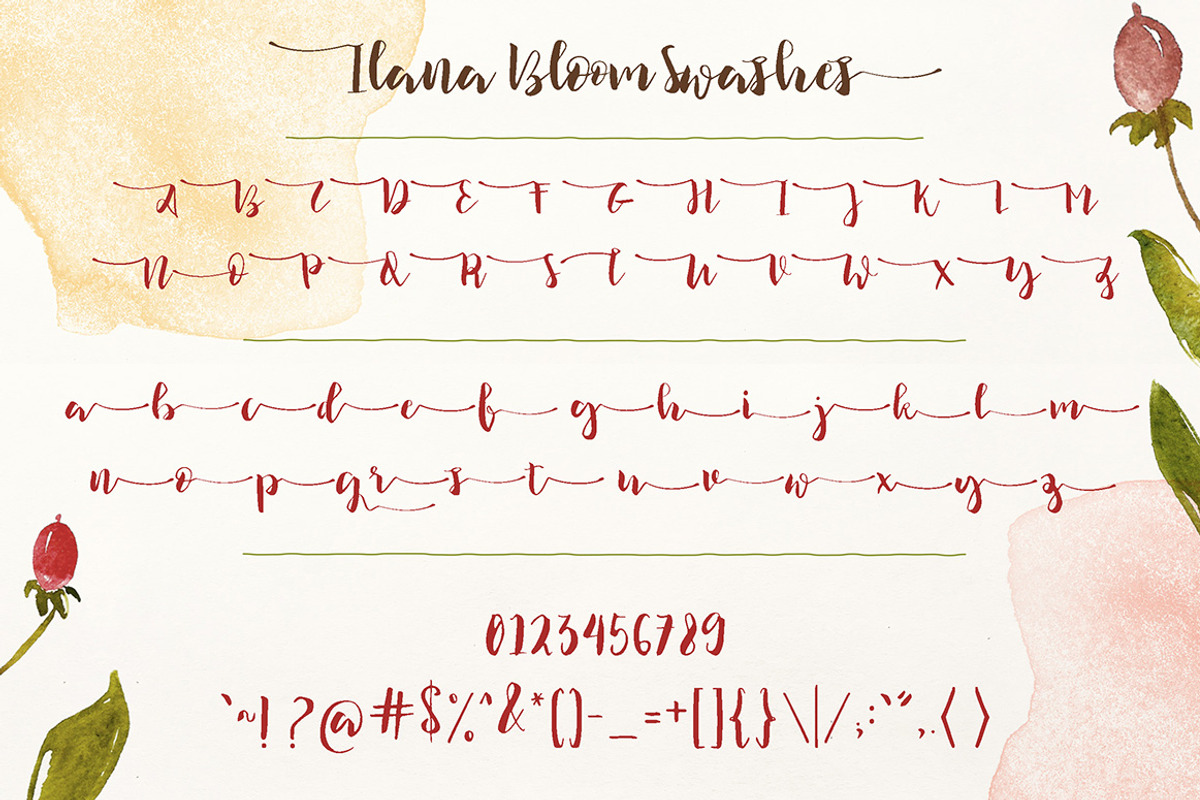 Ilana Bloom Script preview 6
