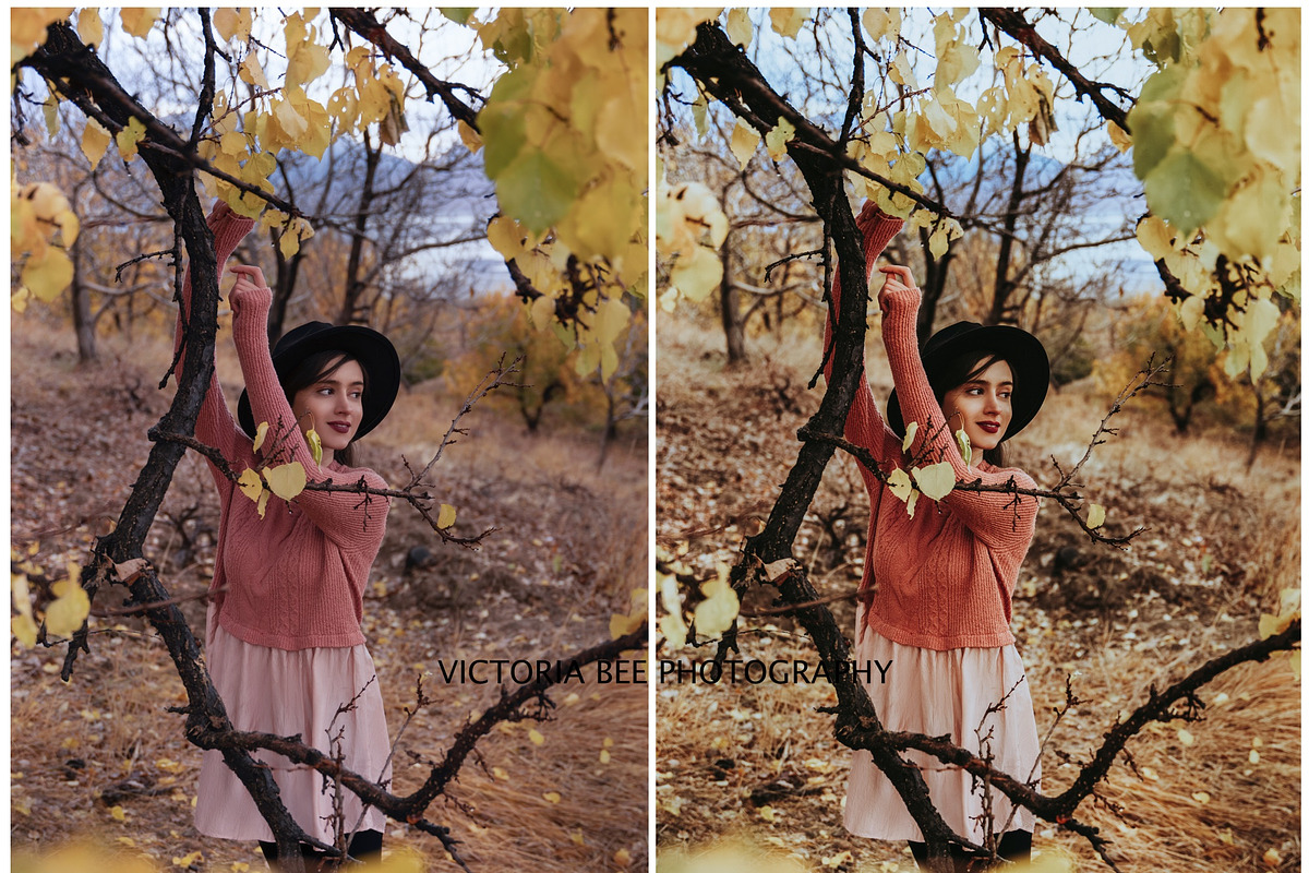 RICH AUTUMN LIGHTROOM PRESETS, a Preset Add-On by Victoria Bee Presets (Photo 2 of 9)