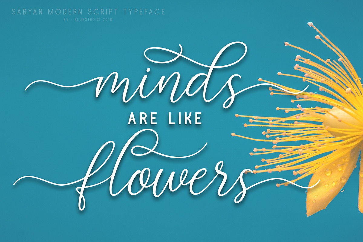Sabyan // Modern Script Typeface preview 6