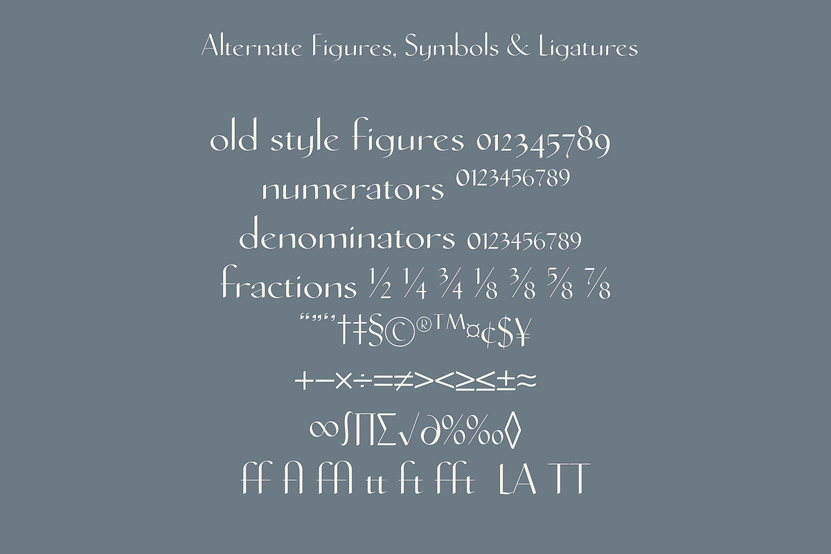 Grandley Sans Serif Font, a Font by Evoke Type Studio (Photo 15 of 15)