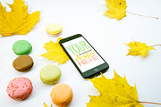 Mock-Up Phone 7 Autumn Macarons 9in1, an iPhone Mockup by EmilGuseinov (Thumbnail 9 of 9)