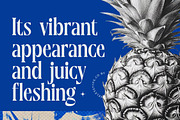Moonni Zehher Bold Tall Serif, a Serif Font by timelesstype.co (Thumbnail 4 of 20)