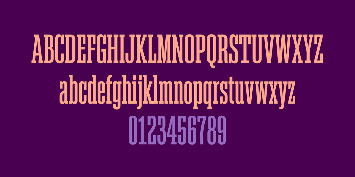 Akkordeon Slab, a Slab Serif Font by Emtype Foundry (Photo 9 of 9)