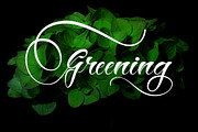 Hey Jintan, a Script Font by Gatype (Thumbnail 2 of 10)