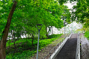 Concrete staircase surrounded by lush green trees on a bright day, a Photo by AS photostudio