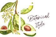 Avocado in botanical style, a Food Illustration by Ann Astro (Thumbnail 3 of 13)