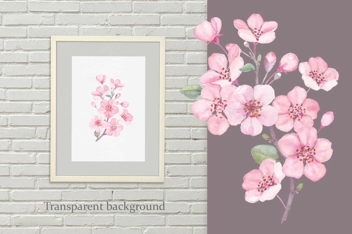 Blossom. Watercolor collection., a Pattern Graphic by oKOLOstyle (Photo 6 of 6)
