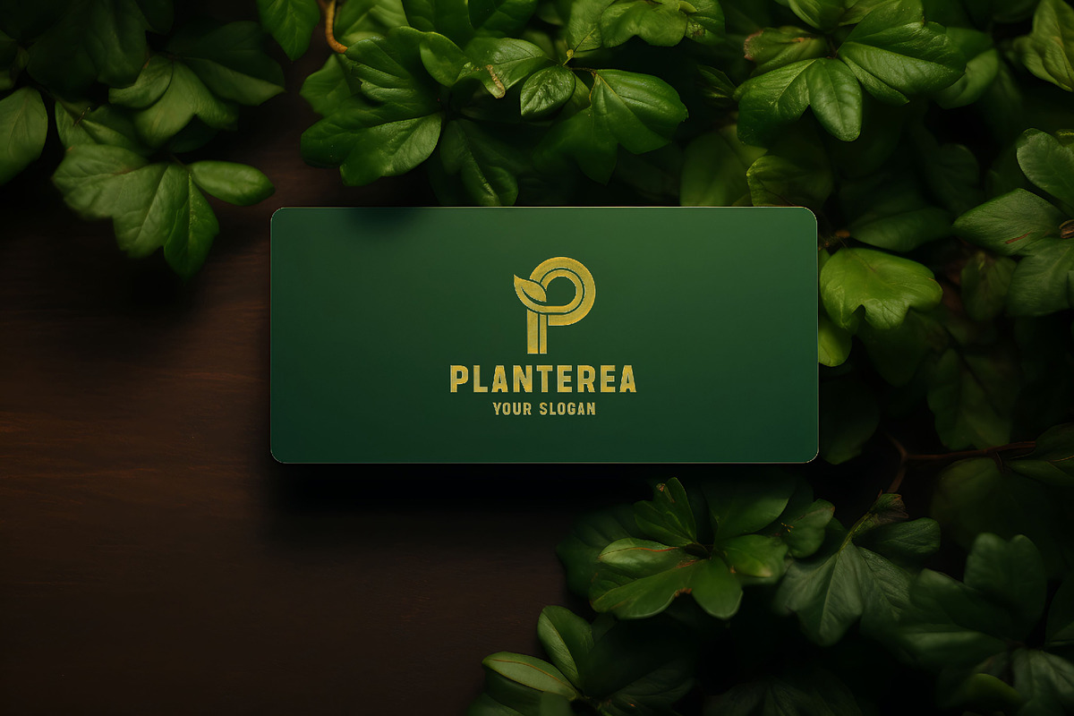 Letter A-Z Nature Logo Kit, a Branding & Logo Template by Luxury Logos (Photo 11 of 11)