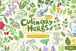 CULINARY HERBS Vector set Vol.5
