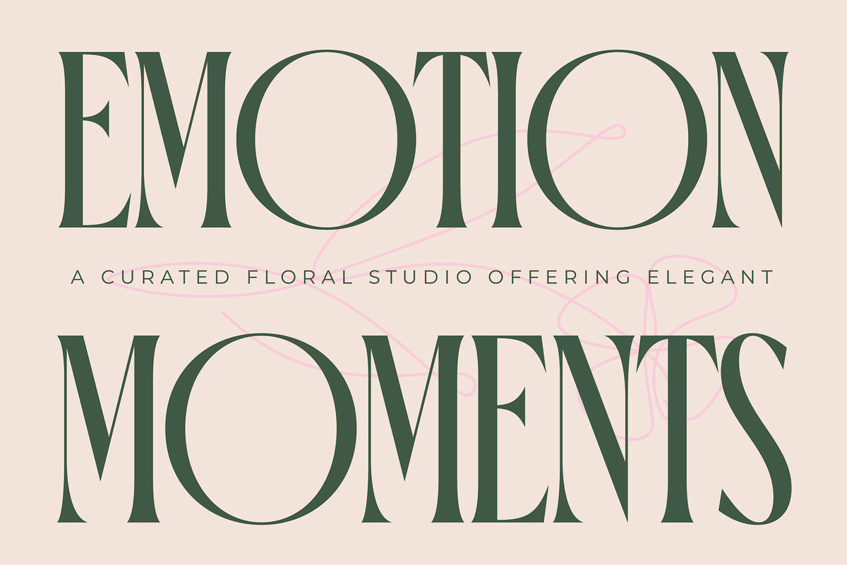 Orleans Brightens Modern Serif, a Serif Font by timelesstype.co (Photo 3 of 15)