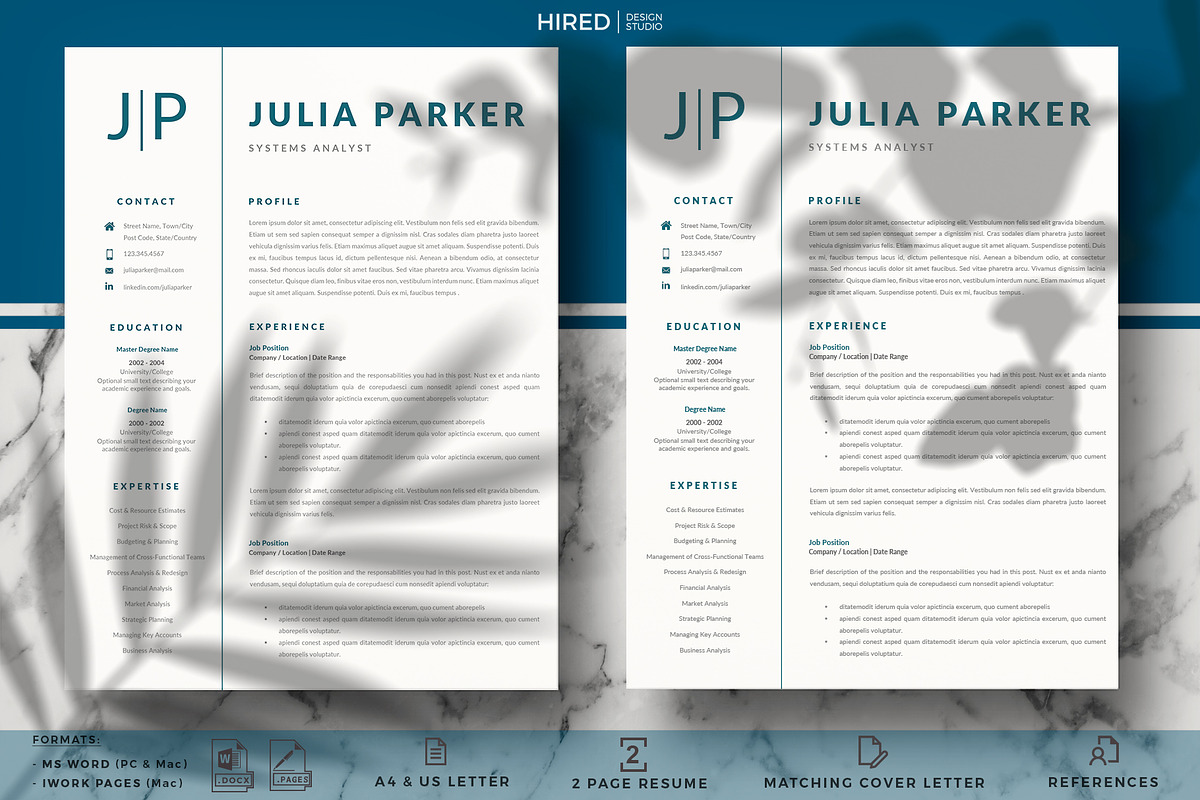 Systems Analyst Professional Resume preview 2