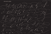 Honey Vineyard // Modern Calligraphy, a Script Font by PeachCreme (Thumbnail 26 of 26)