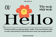 TAN - THE BLUE ORCHID, a Serif Font by TanType (Thumbnail 9 of 12)