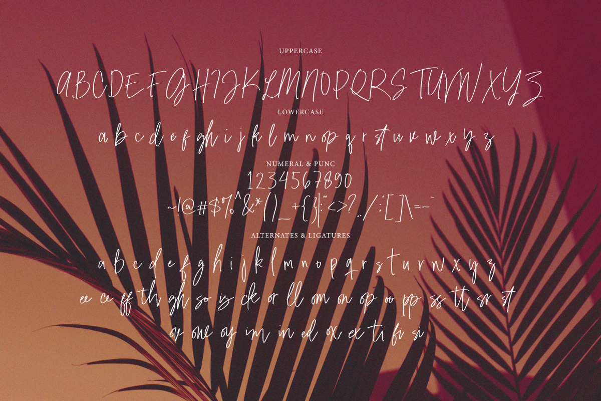 Garlone - Casual Signature, a Handwritten Font by tebaltipislab (Photo 5 of 9)