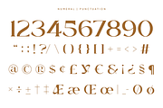 Windels - Elegant Serif Logo Font, a Serif Font by Pekotype (Thumbnail 4 of 15)