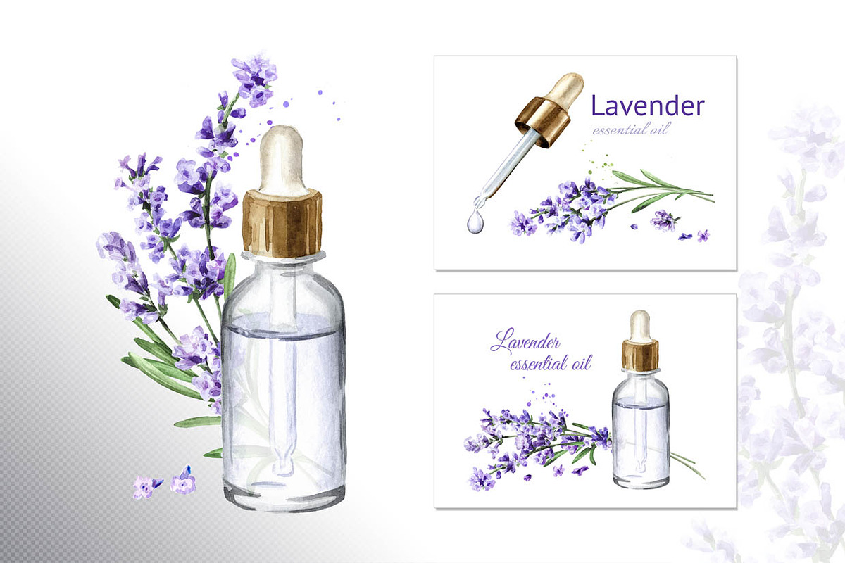 Lavender Mood, a Decorative Illustration by Daria Ustiugova (Photo 9 of 14)