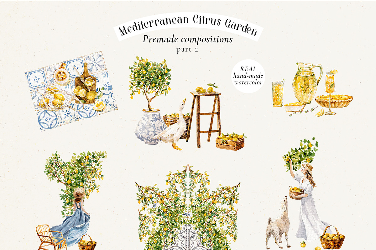 Mediterranean Citrus Garden clipart, a Decorative Illustration by Pamyatka Shop (Photo 10 of 14)