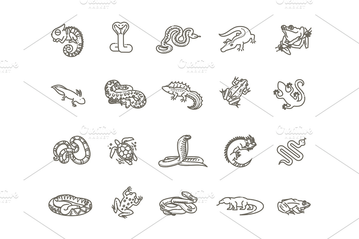 Reptiles and amphibians icons set, an Animal Illustration by Tettygreen