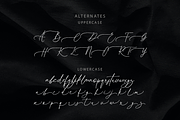 Hillieston Elegant Wedding Font, a Script Font by DzikrulAulia (Thumbnail 9 of 10)