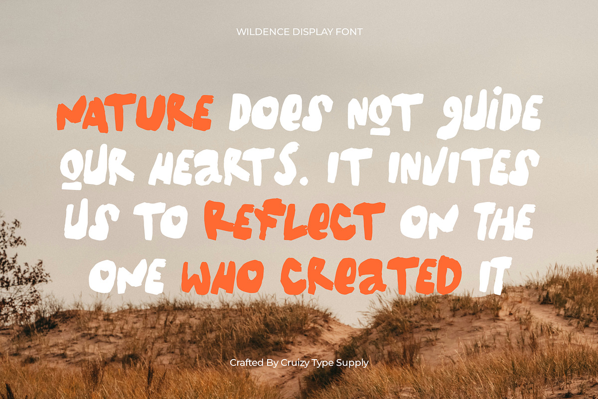 WILDENCE Organic Display, a Handwritten Font by Cruizy & Co (Photo 4 of 15)