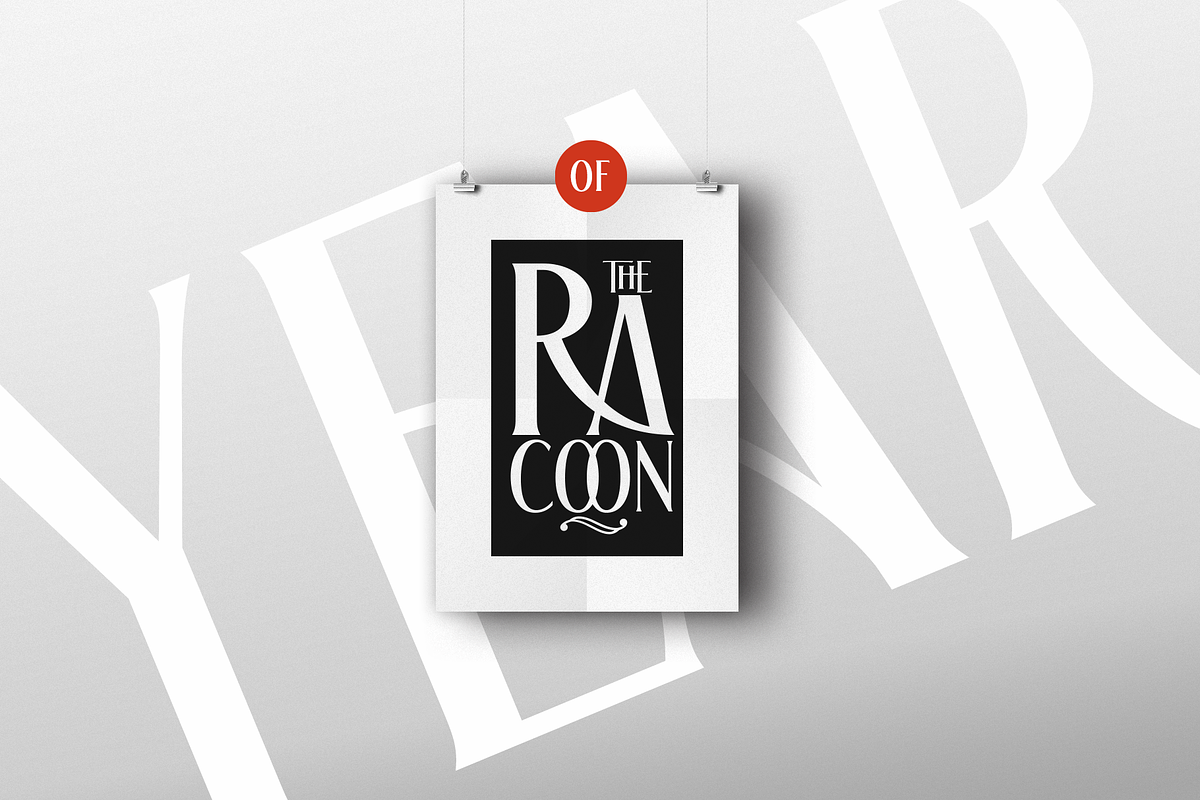 The Racoon Quest, a Serif Font by Roland Huse Design (Photo 2 of 7)
