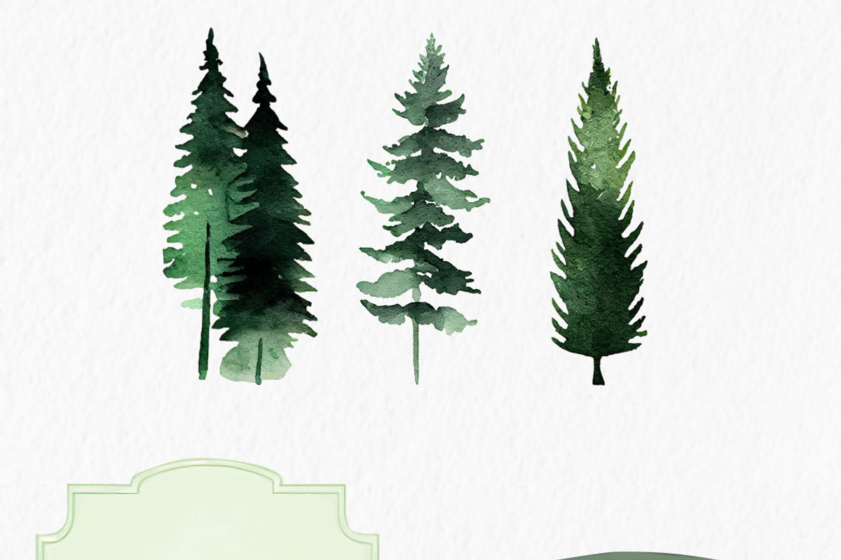 Forest Watercolor Clipart PNG, an Object Graphic by MyLittleMeow (Photo 4 of 6)