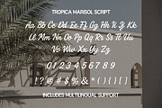 Tropica Marisol – Duo Typeface, a Script Font by Creacy Studio (Thumbnail 10 of 10)