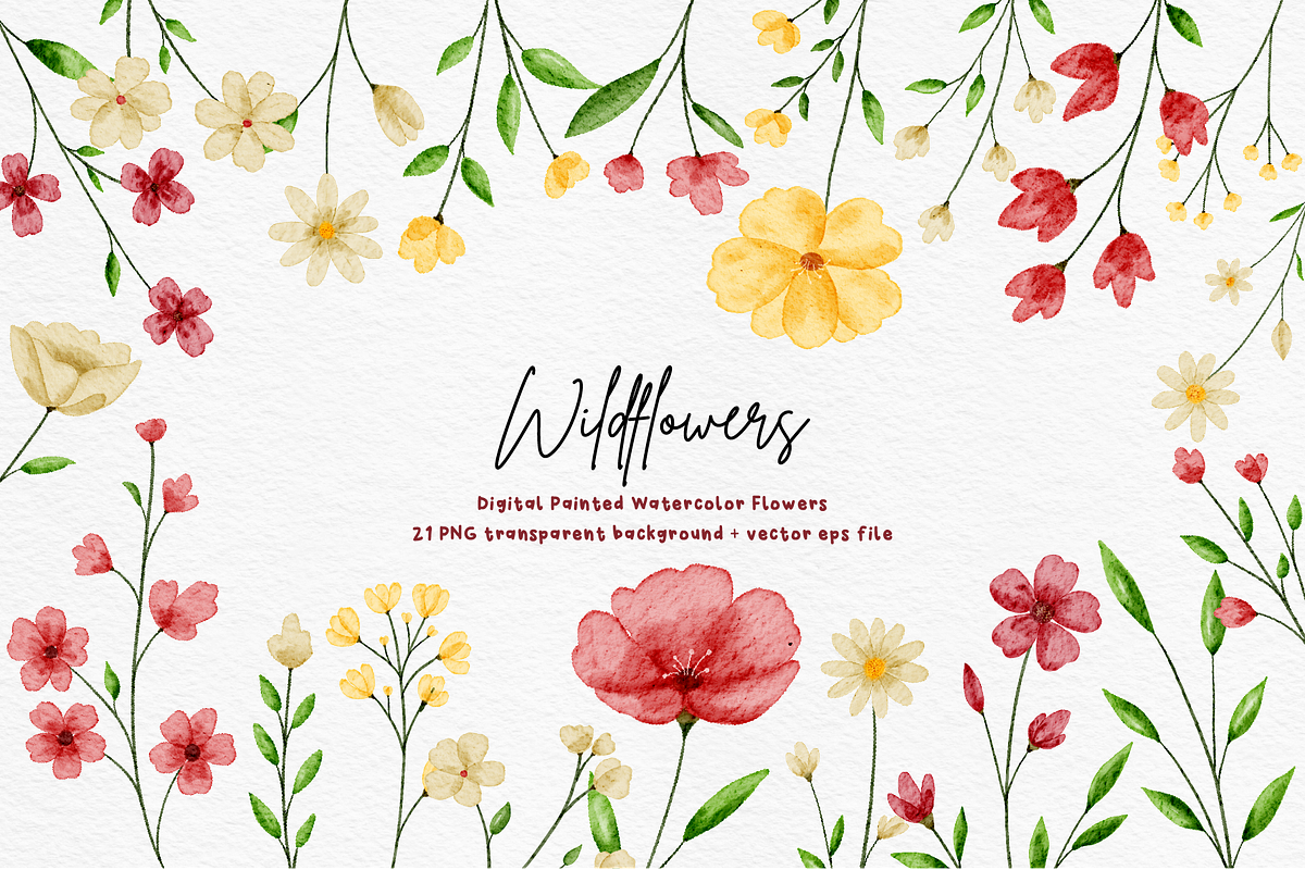 Wildflowers Watercolor Bundle, a Decorative Illustration by An Design (Photo 1 of 8)