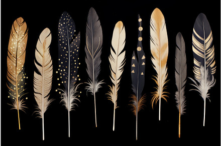 Fluffy Set colorful feathers, an Animal Illustration by Ylivdesign
