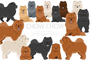 Chow chow (longhaired) clipart, an Animal Illustration by pet design shop (Thumbnail 1 of 9)