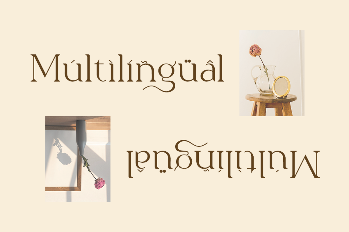 Spotless - Modern Stylish, a Serif Font by RockboyStd (Photo 9 of 12)