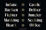 Maglicta - Display Serif Font, a Sans Serif Font by Flawless And Co (Thumbnail 9 of 10)