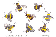 Watercolor Bees - Hand painted, an Illustration by Sandra Jones Art (Thumbnail 1 of 2)