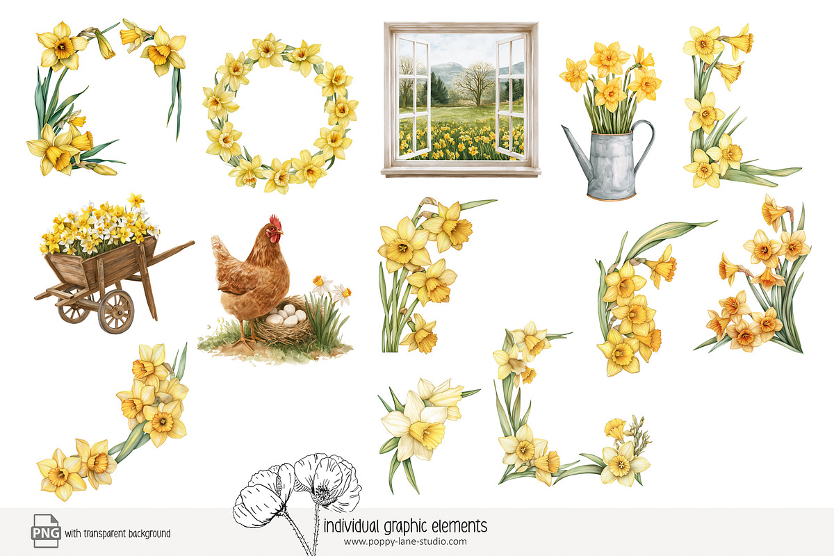 100 watercolour daffodil clip art, a Seasonal Illustration by Poppy Lane Studio (Photo 11 of 12)