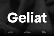 Geliat | Sans Serif Family, a Sans Serif Font by Wahyu & Sani Co. (Thumbnail 1 of 13)
