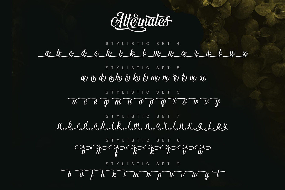 Vontgod Typeface, a Script Font by alit design (Photo 4 of 18)