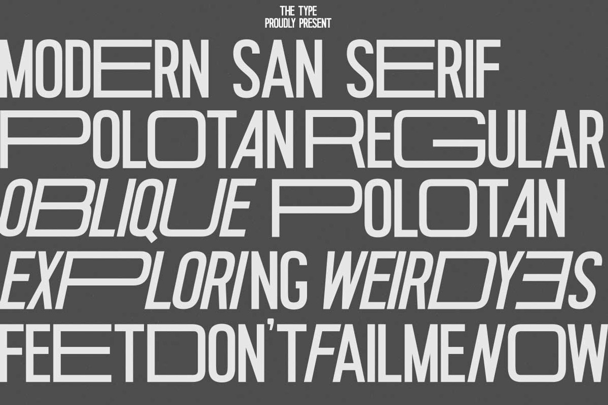 Polotan Modern Sans Serif, a Sans Serif Font by The_Type (Photo 7 of 8)
