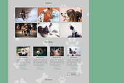 Zoo-Clinic Veterinary WP Theme, a WordPress Template by Ordasoft (Thumbnail 2 of 3)