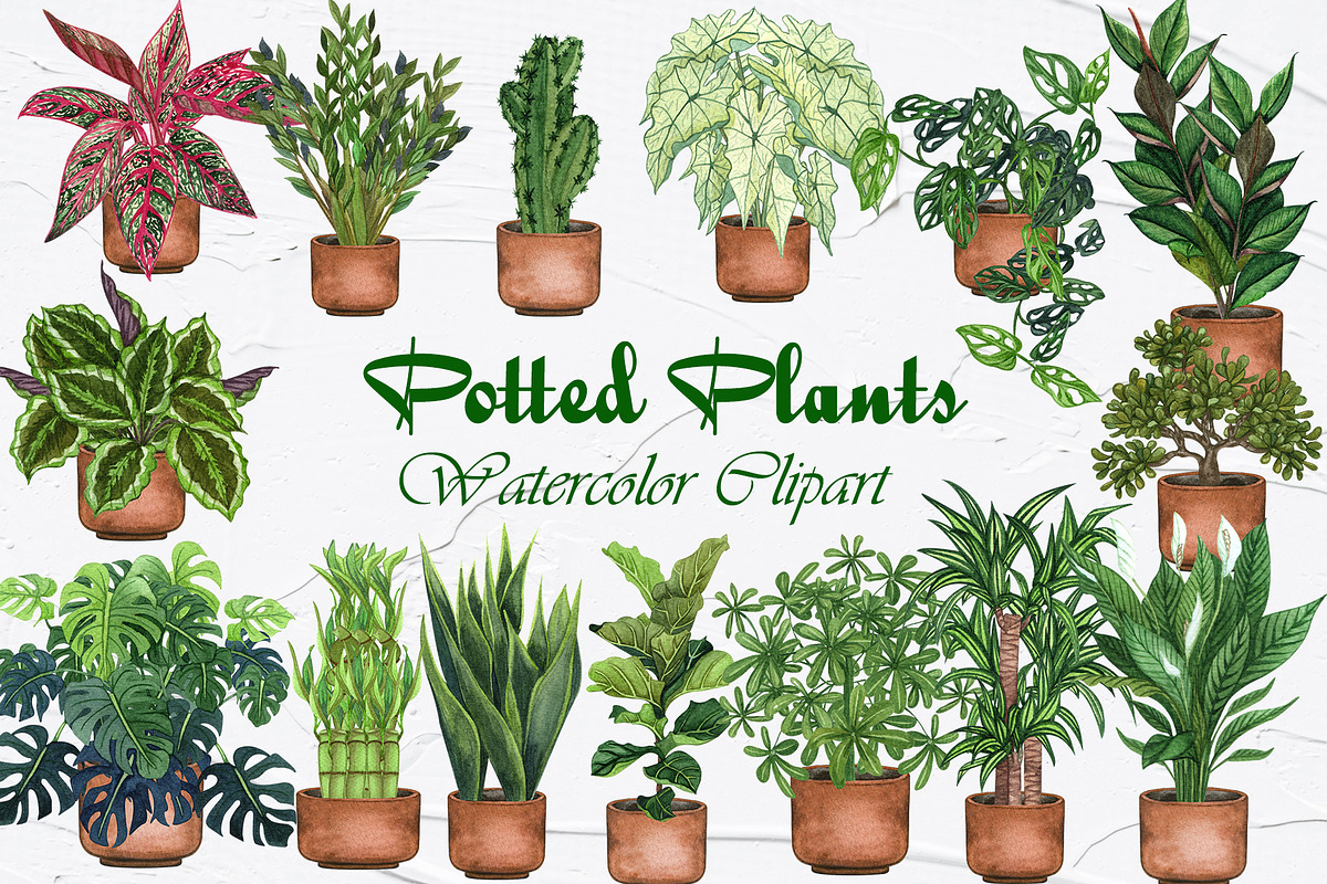 Potted Plants Watercolor clipart, an Object Illustration by BarvArt (Photo 1 of 8)