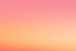 Soft pink and orange gradient background with smooth blending, i, an Animal Photo by Ales Munt