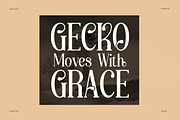 Aikonig | Modern Serif Font, a Serif Font by Denustudios (Thumbnail 3 of 15)