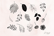 Flowers & Leaves Procreate Stamps, a Brush Add-On by BohoCalligraphy (Thumbnail 8 of 9)