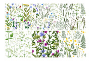 Wild herbs. Wildflowers pattern, a Pattern Graphic by irina.vaneeva (Thumbnail 2 of 6)