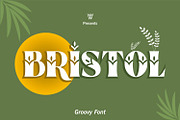 Bristol Slab Serif Groovy Font, a Slab Serif Font by WhymoreArt (Thumbnail 1 of 9)