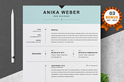 Resume/CV Bundle | 200+ for $29, a Resume Template by ResumeInventor (Thumbnail 79 of 207)