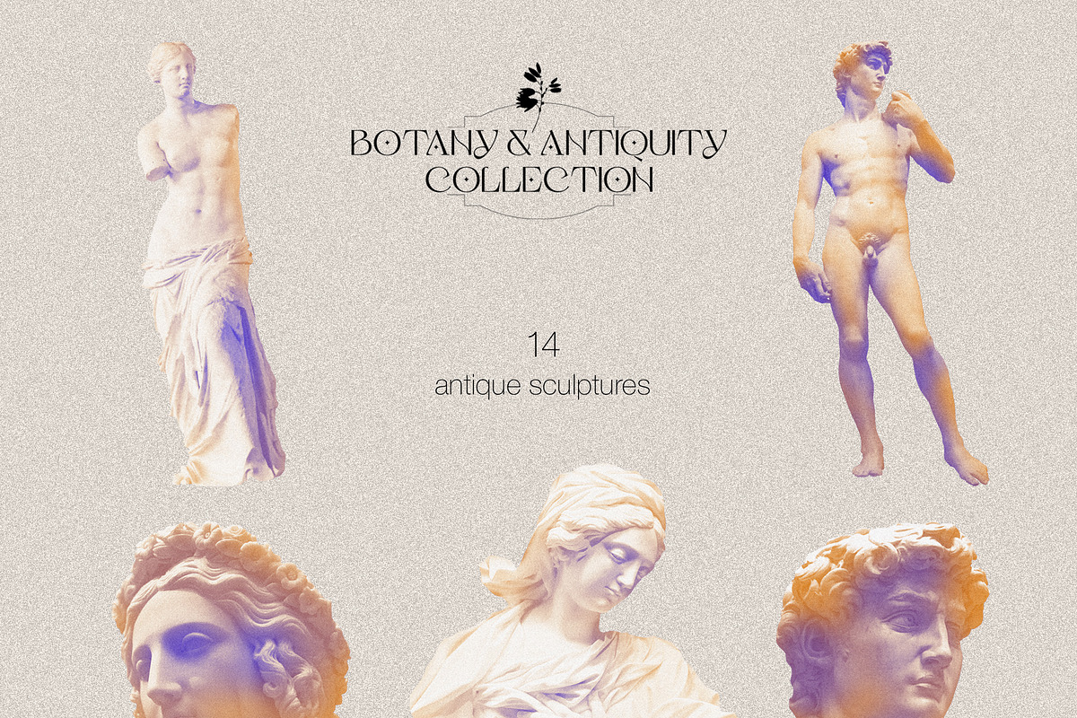 Botany & Antiquity Collection, an Object Graphic by Natali Batu (Photo 16 of 20)