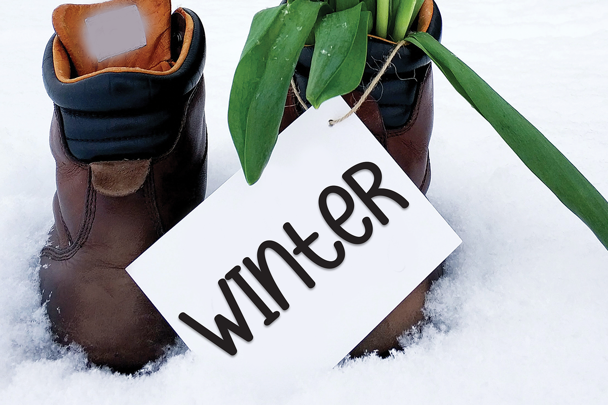 Simple Grinches | Script Font, a Script Font by Scratchones (Photo 2 of 8)