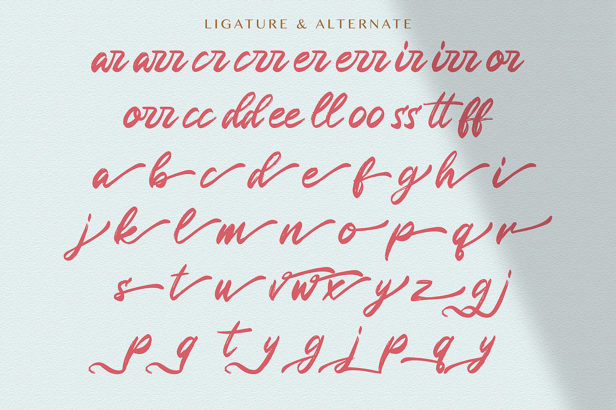Rugani Payne - Textured Brush Font, a Script Font by StringLabs (Photo 11 of 12)