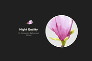 Repeating patterns with magnolias, a Graphic by Mona Monash (Thumbnail 10 of 12)