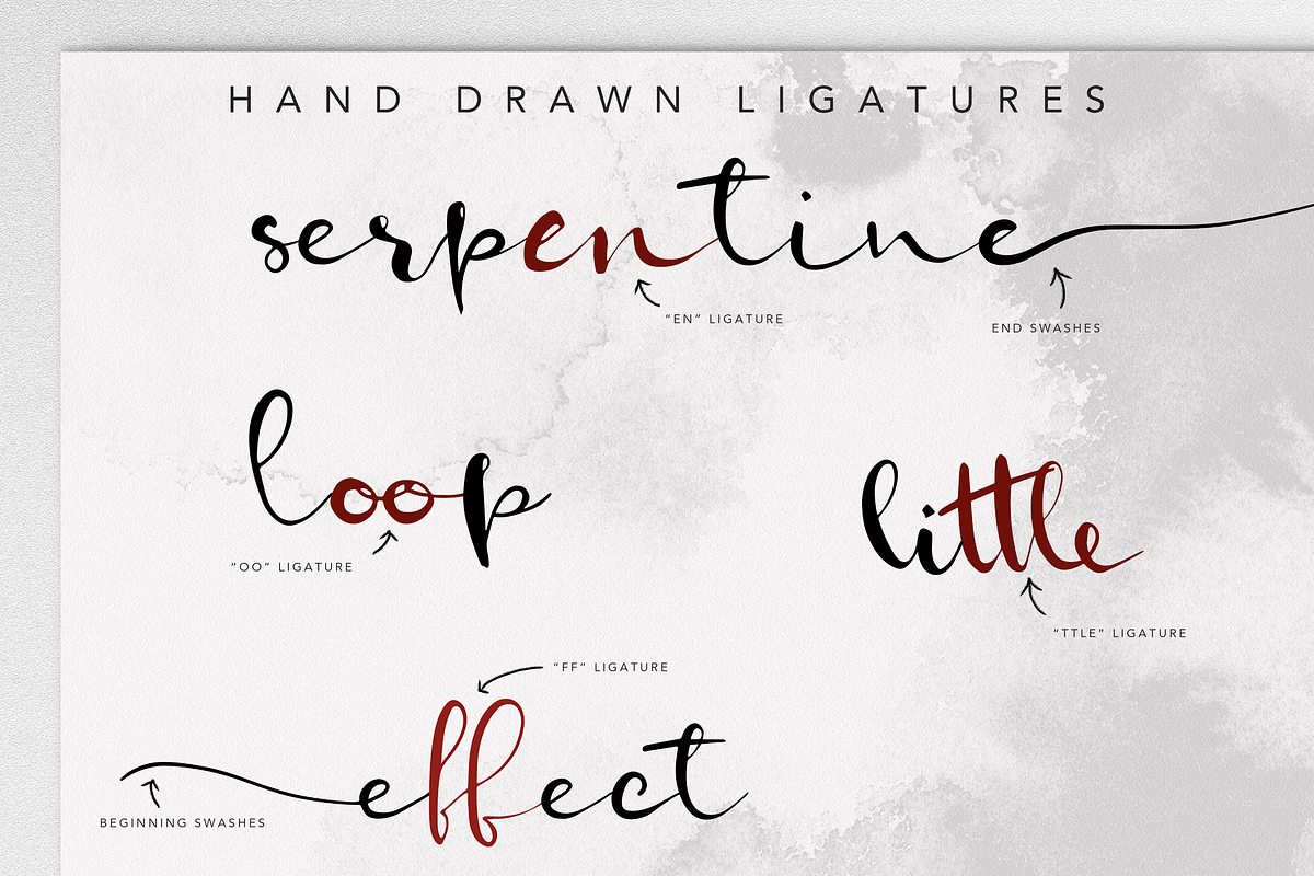 Serpentine Script Font Family, a Script Font by Wooly Pronto (Photo 3 of 8)